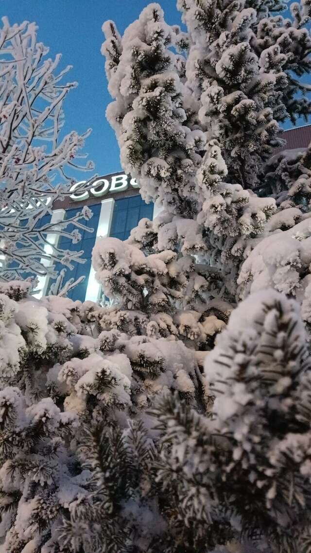 Отель Снежная сова Красноярск-95
